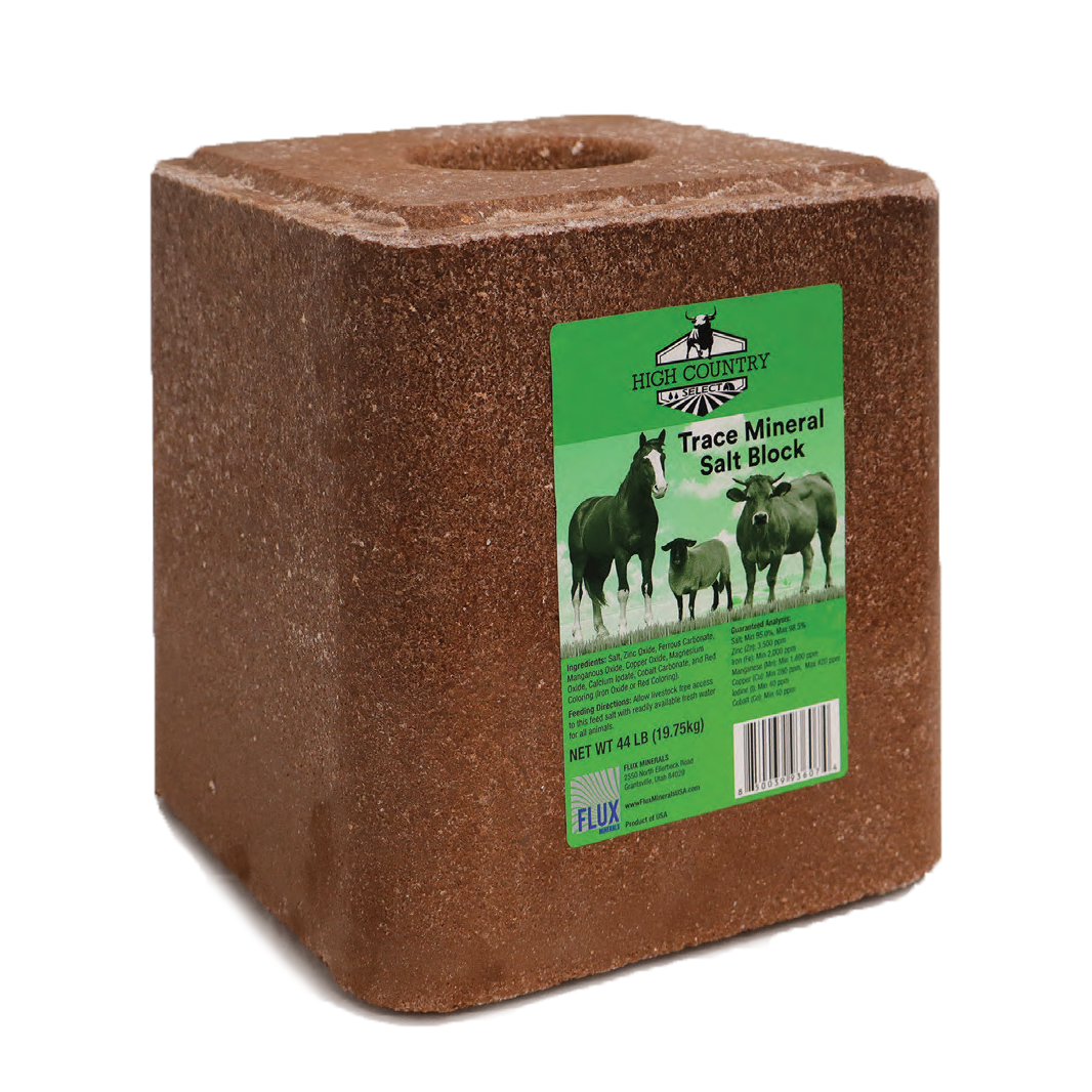 Trace Mineral Salt Block