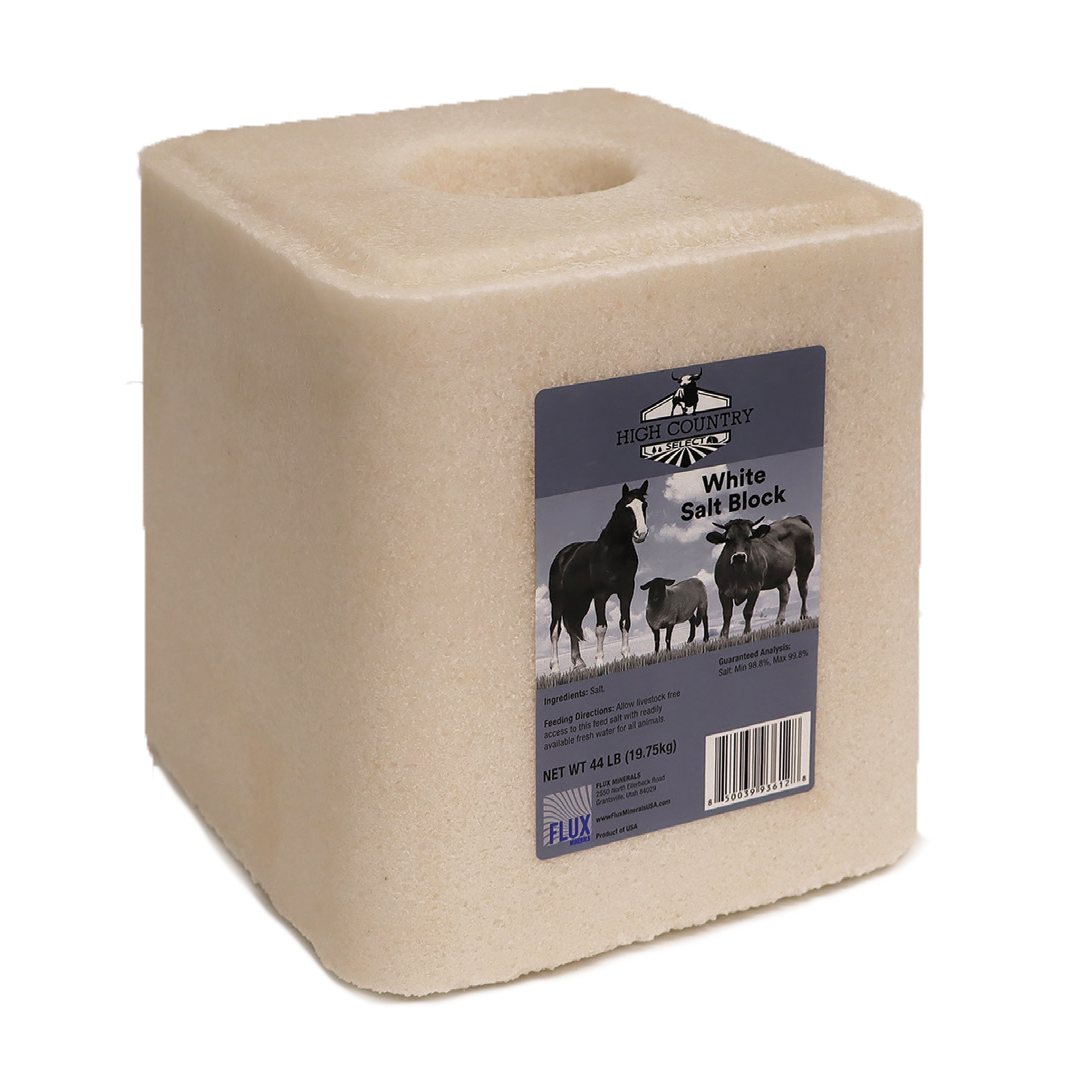 White Salt Block